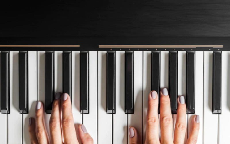 How Much Piano Lesson Cost In The Best 8 Course 